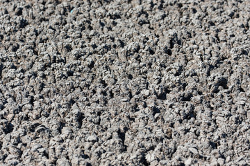 gray dry soil