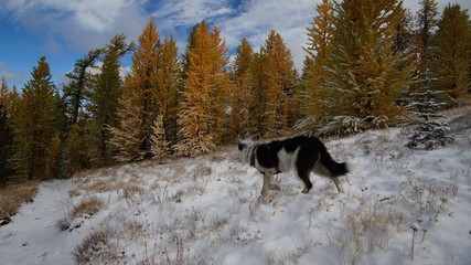 Fall in the Pacific Northwest