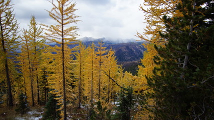 Fall in the Pacific Northwest