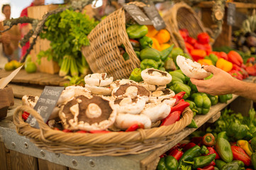 Mushrooms - Fresh Vegetables - Farmer's Market