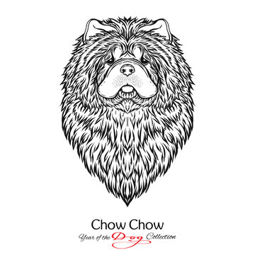 Chow Chow. Black and white graphic drawing of a dog. 