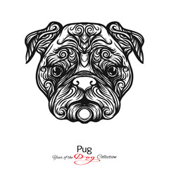 Pug. Black and white graphic drawing of a dog. 
