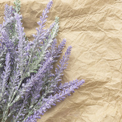 Lavender flower on purple wooden background.