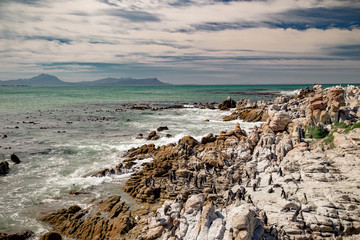 Betty's Bay