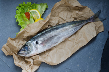 fresh fish mackerel on black background