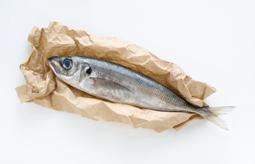 fresh fish mackerel on white background