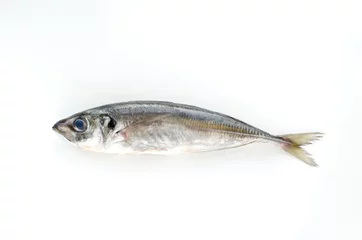 Printed roller blinds Fish fresh fish mackerel on white background