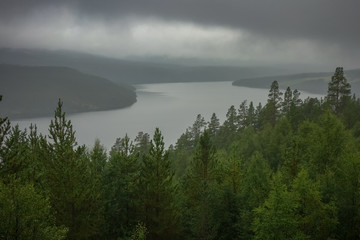 Fjord depuis une forêt, Norvège