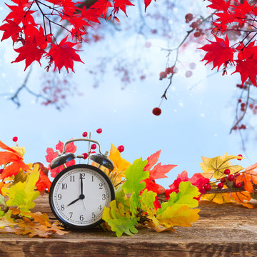 Autumn time - fall multicolored leaves with alarm clock on table in autumn garden