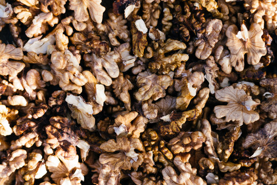 Fresh walnut kernels