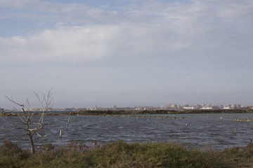 Panorama della riserva naturale orientata delle Saline di Trapani e Paceco