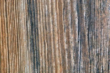 Obraz premium Wood texture. Wood texture for design and decoration