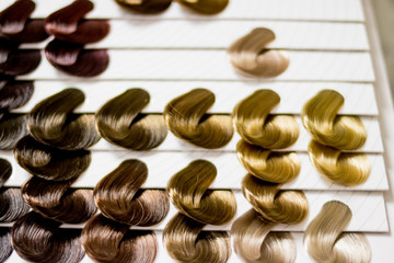 Complete set of locks of all the most used hair color samples, rounded shape.hair stylist office.dyeing or changing hair colour concept.Selective focus.set of locks of hair in different colors