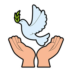 hands human with dove of peace