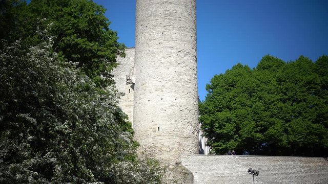 National flag of Estonia on Long Herman - a tower of Toompea Castle on the hill Toompea. Tallinn, Estonia,