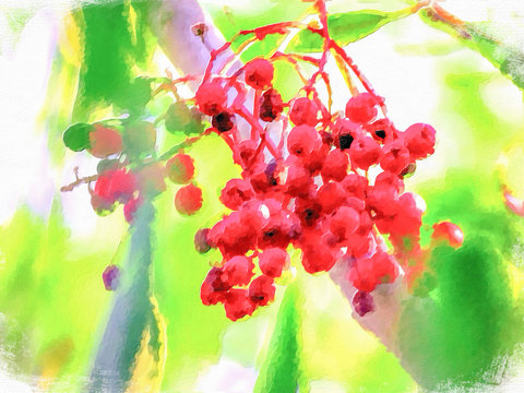 Impressionism Style Oil Painting; The Little Red Fruits in Spring