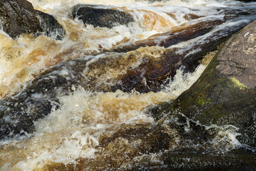 River flow in the forest