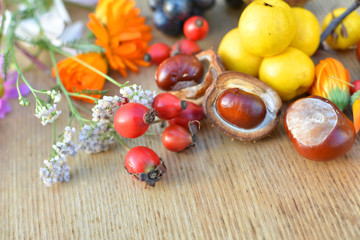 Autumn herbs, fruits and horse chestnuts