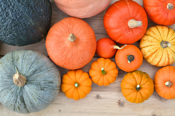 Different varieties of pumpkins and squashes