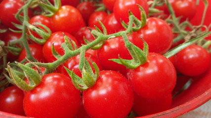 Cherry tomatoes