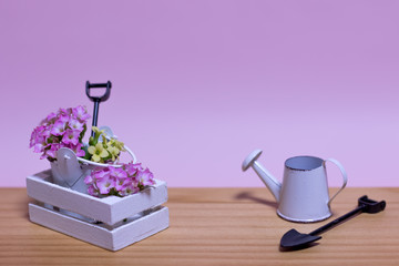 Miniature Gardening Kit with Pink Background