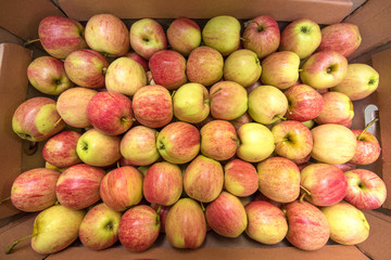 Beautiful appetizing fruit  background with apples in a cardboard box