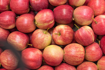 Beautiful appetizing fruit red background with red apples in a cardboard box