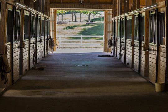 Quiet Stable
