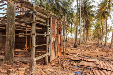 Fototapeta na wymiar destroyed wooden house on coastline with palm trees and beach background