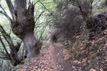 A day in summer on the oldest Camino de Santiago in Spain, the 