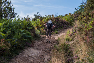 A day in summer on the oldest Camino de Santiago in Spain, the "Camino Primitivo" leading from Oviedo to Santiago de Compostela