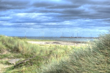 sea and sky through the grass