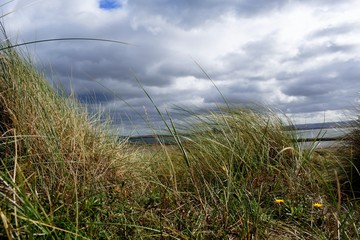 sea,sand and grass