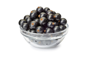 Bowl with black currant berries on white