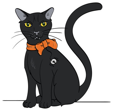 A Black Cat with an orange bow and spider-like bell sitting.