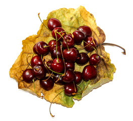 on a dried withered twisted sheet of poplar laid a handful of ripe juicy bard cherry