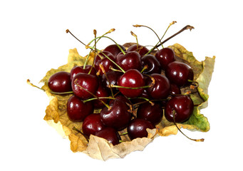 on a dried withered twisted sheet of poplar laid a handful of ripe juicy bard cherry