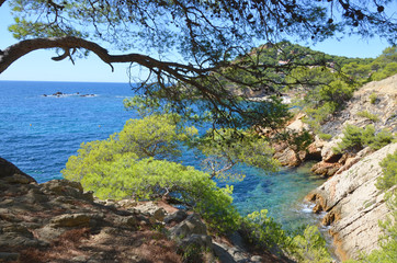Calanques in the south of France