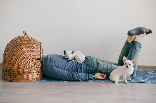 Unknown male lying on yoga mat. Head in wicker doghouse. Man in fashionable clothing. Weird odd bizarre strange unusual headless guy. Little mexican chihuahua puppies sleeping at home. Homeless dogs.