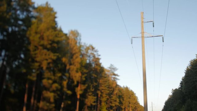 Electric poles in the forest, blurry image, tilt shift lens.
