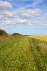 bridleway in summer