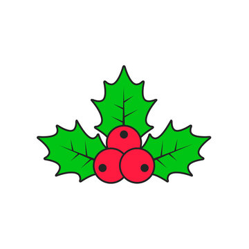 Holly berry Christmas color icon with stroke. Vector flat style illustration