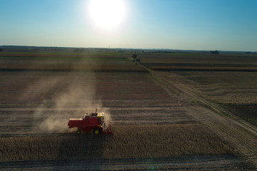 Fototapeta premium Soybean harvest shoot from drone