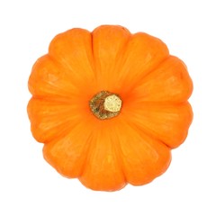 Top view of a single mini pumpkin isolated on a white background