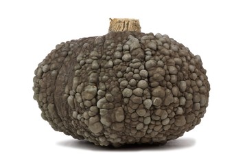 Green bumpy Halloween pumpkin isolated on a white background