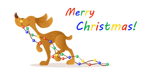 Cute smiling yellow dog carrying Christmas lights.