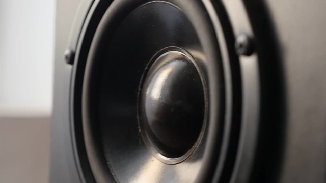 Bass speaker membrane vibration in slow motion footage - Low frequency sound on music device diaphragm slow-mo video 