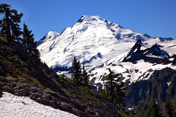 Fototapeta na wymiar Mount Baker Snow Evergreens from Artist Point Washington State