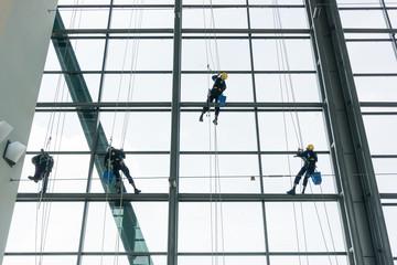Professional window cleaners climbing up facade on ropes