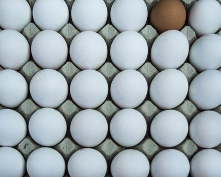 ein braunes Ei und 29 weiße Eier in einer Eierpappe auf einem Marktstand, a brown egg and 29 white eggs in an egg board at a market stall